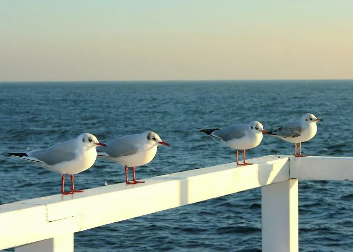 شقة Mieszkanie Przy Arenie